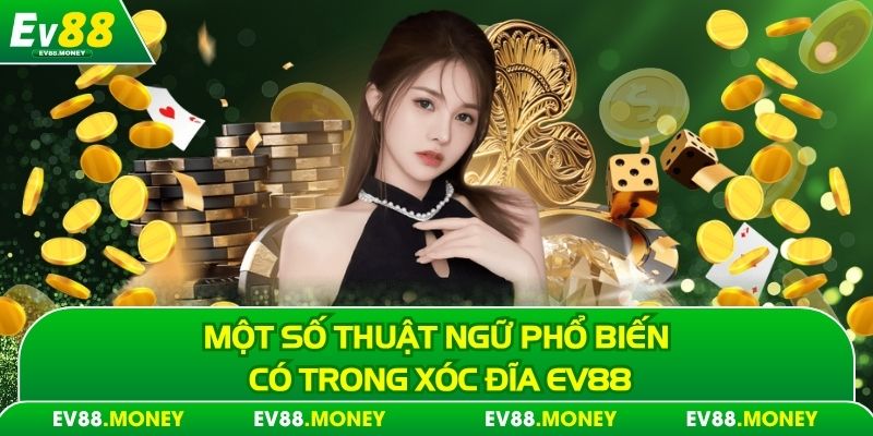 Một số thuật ngữ phổ biến có trong xóc đĩa Ev88