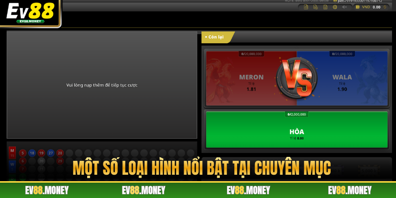 Một số loại hình nổi bật tại chuyên mục