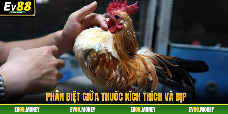 Phân biệt giữa thuốc kích thích và bịp
