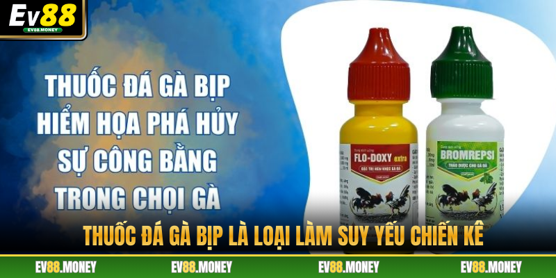 Thuốc đá gà bịp là loại làm suy yếu chiến kê